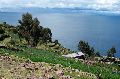 High angle view of sea and trees against sky