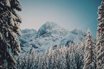 Panoramic view of snowcapped mountains against sky