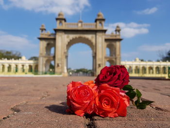 Red roses on footpath against built structure in city