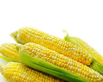 Close-up of fresh yellow pepper against white background