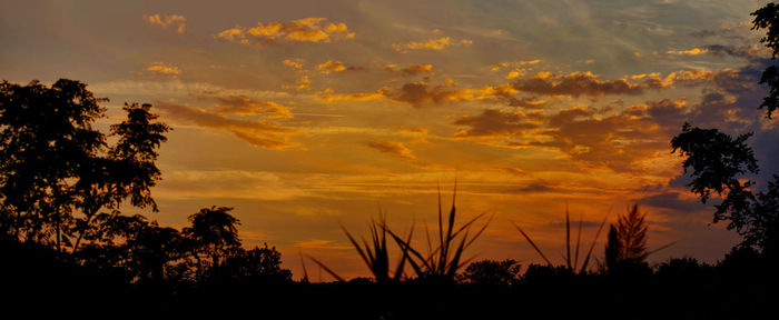 Silhouette trees on field against orange sky