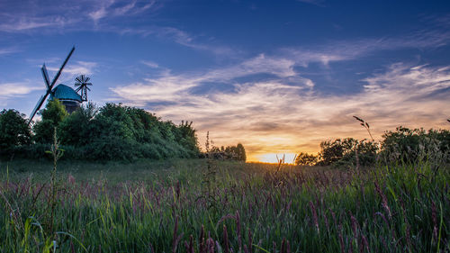 Scenic view of field against sky during sunset