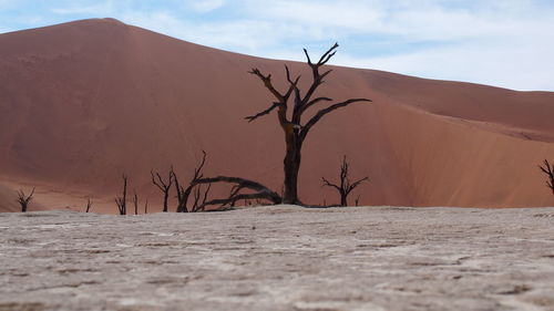 Scenic view of desert against sky