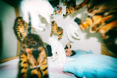 Close-up of stuffed toy