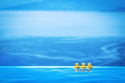 View of swimming pool in sea