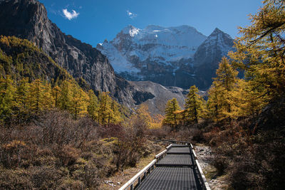 Walkway to snow mountain in yading