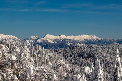 Mountains covered in snow