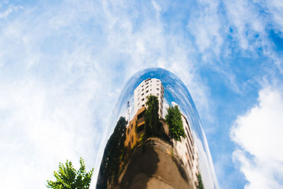Low angle view of trees against blue sky