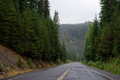 Road amidst trees and plants