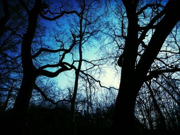 Low angle view of silhouette trees against sky