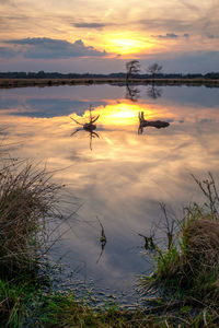 Scenic view of lake against orange sky