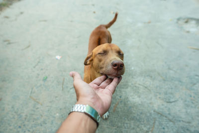 Man holding dog