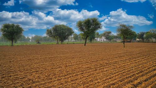 Scenic view of field against sky