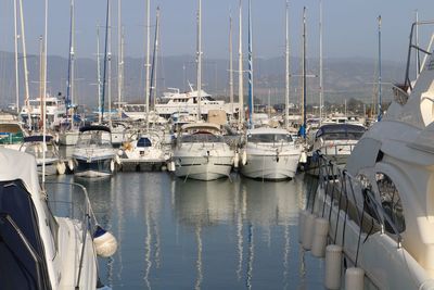 Sailboats moored on harbor against sky