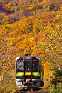 Autumn leaves and local train