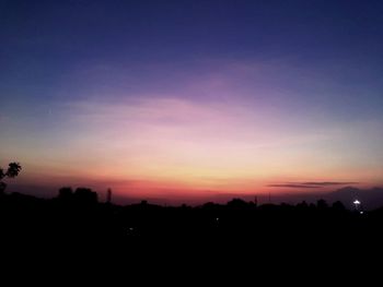 Silhouette of trees at sunset