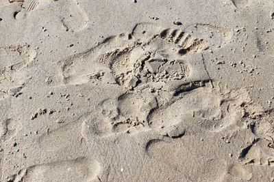 High angle view of footprints on sand