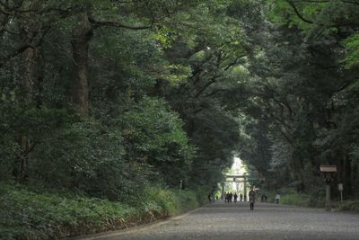 People walking on footpath