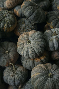 Full frame shot of pumpkins