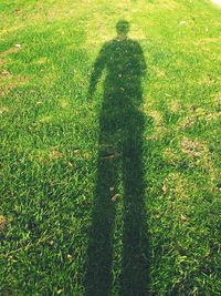 Shadow of people on grassy field