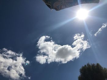 Low angle view of trees against blue sky