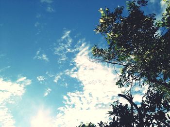 Low angle view of trees against blue sky