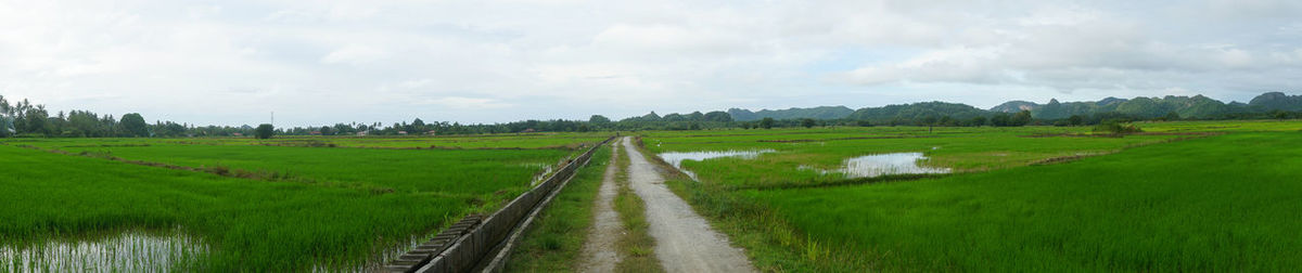 Panoramic view of landscape against sky