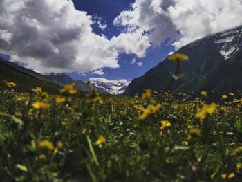 Scenic view of grassy field against cloudy sky