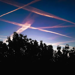 Low angle view of silhouette trees against sky at sunset