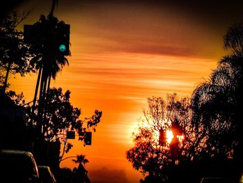 Silhouette trees against sky during sunset