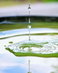 Close-up of water drop