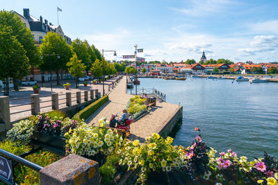 High angle view of flowering plants by river against buildings