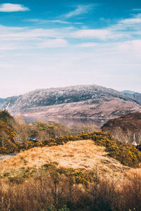 Scenic view of landscape against sky