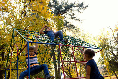 Rear view of boys playing on plants against trees