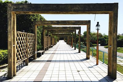 Footbridge amidst trees