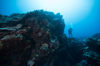 Diver underwater on coral reef