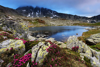 Scenic view of lake against sky