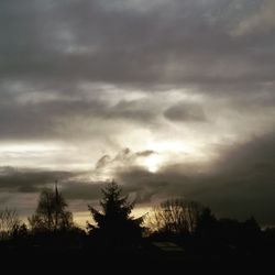 Low angle view of trees against cloudy sky