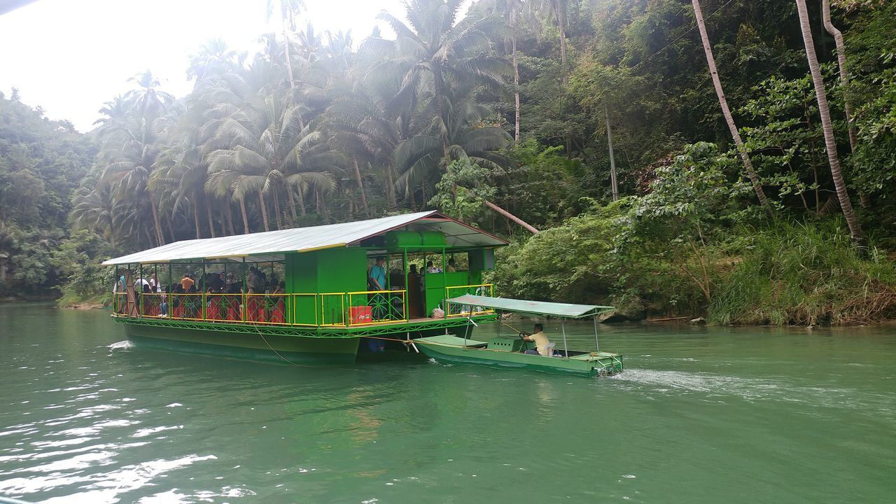 PEOPLE IN RIVER AGAINST TREES