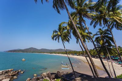 Scenic view of sea and palm trees against clear blue sky