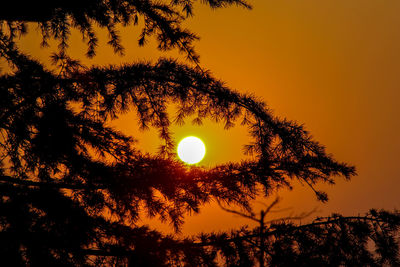 Low angle view of silhouette tree against sky during sunset