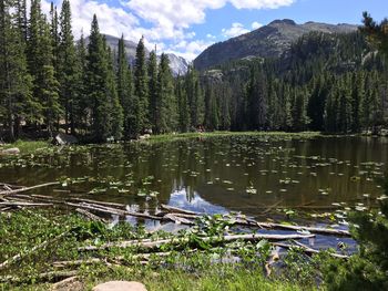 Scenic view of lake and trees against sky