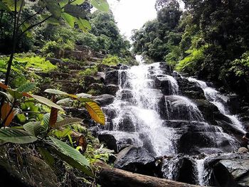 Scenic view of waterfall