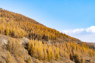 Scenic view of mountains against sky during autumn