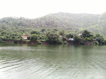 Scenic view of lake in forest against sky