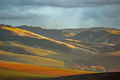 Scenic view of field against sky