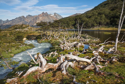 Scenic view of lake against mountains