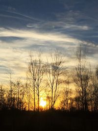 Silhouette bare trees against sky during sunset