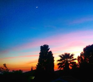 Silhouette of trees against sky at sunset