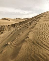 Sand dunes in desert against sky